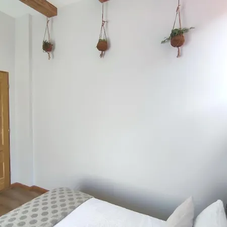 Cozy Place Poarta Schei *