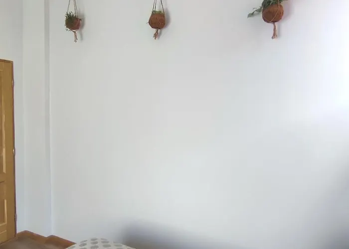 Cozy Place Poarta Schei *